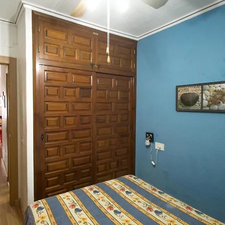 Casa Aralia 托雷维耶哈